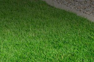 Landscaping Bournemouth